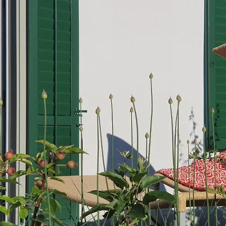 Dependance Ost * Interlaken